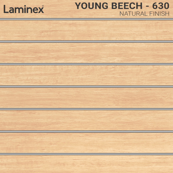 Young Beech Wood Slat wall or shelving sample